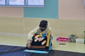project-img
